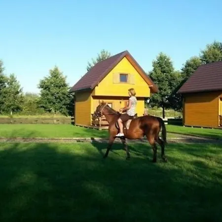 Blockhuette Mit Terrasse Und Grill Gleznowo